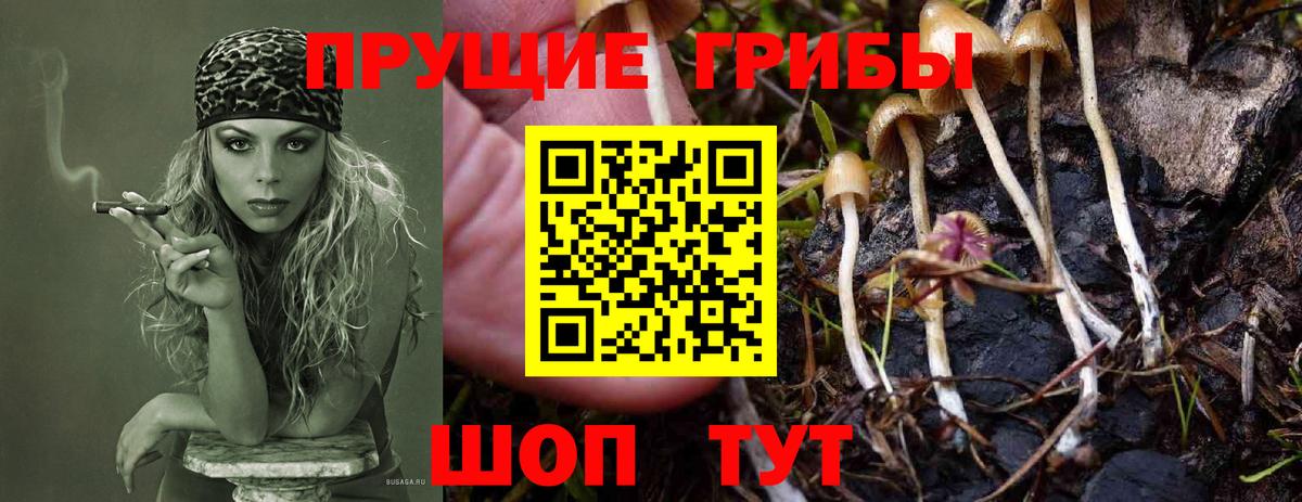 Псилоцибиновые грибы прущие грибы Лесозаводск